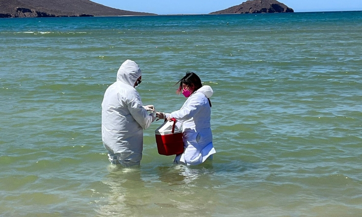 POR DERRAME DE AGUAS NEGRAS  Realizan muestreos en Miramar