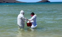 POR DERRAME DE AGUAS NEGRAS  Realizan muestreos en Miramar