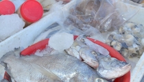 Caen ventas de mariscos