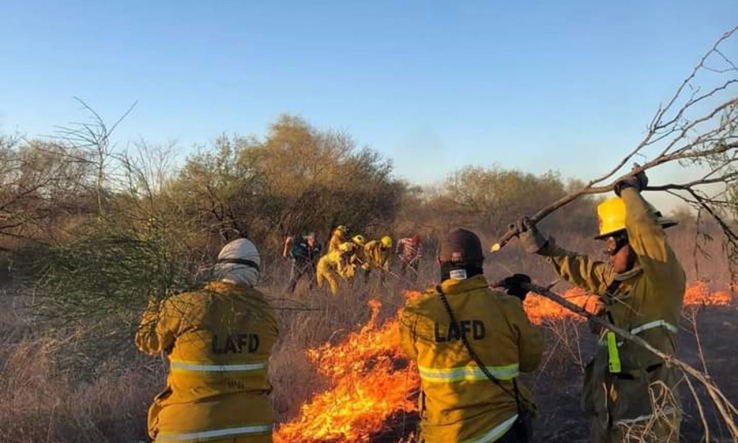 Afecta incendio forestal a Guaymas   