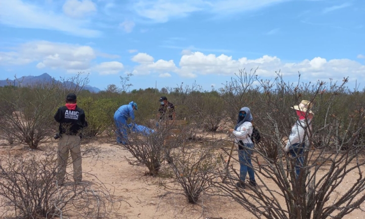 GUERRERAS BUSCADORAS  Localizan restos calcinados