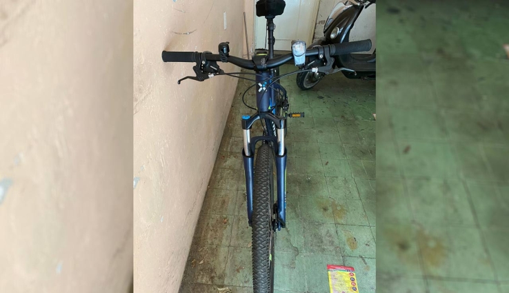 POR ESCANDALIZAR  Detienen a dañista