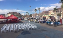 PRODUCTORES  Planean realizar el festival del camarón