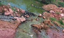 La CEA contamina arroyo de San José