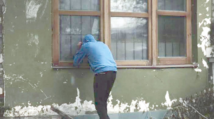 EN EL SECTOR TERMOELÉCTRICA Roban en vivienda