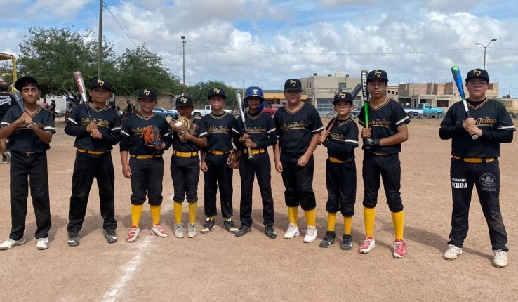 Polleros lideran la pelota infantil