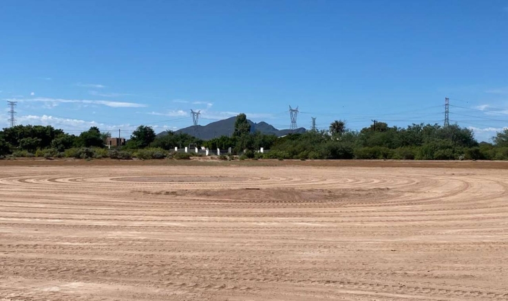 Por fin, nuevos campos de San José