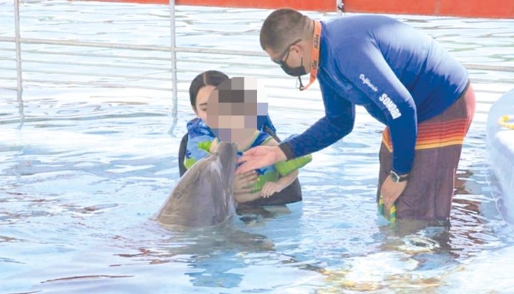 EN DELFINARIO SONORA  Reanudan las terapias