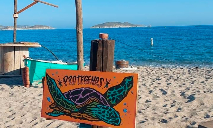 CONSERVACIÓN DE LA TORTUGA MARINA   Trabajan en proyecto
