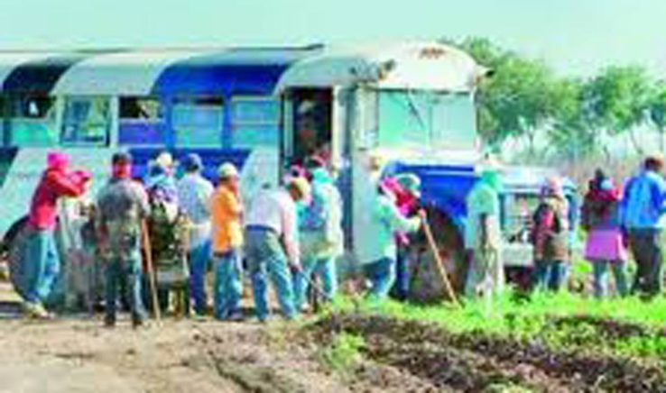 Sin beneficios los campesinos