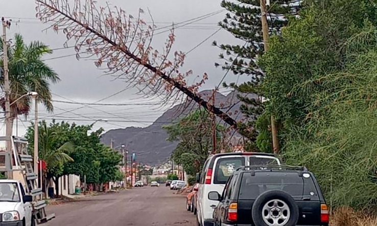 Lluvia y viento causa estragos en Guaymas